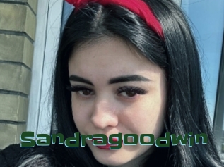 Sandragoodwin