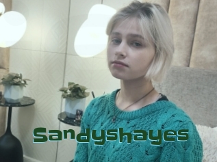 Sandyshayes