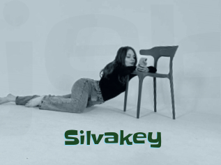 Silvakey