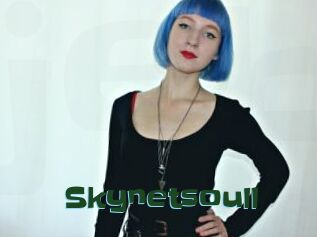 Skynetsoull