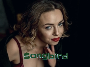 songbird Jeune baise