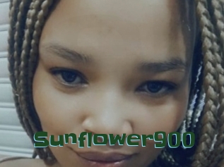 Sunflower900