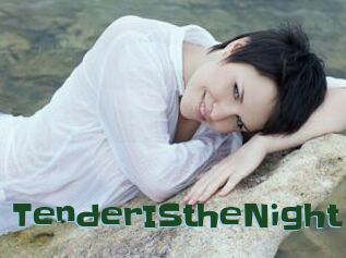 TenderIStheNight