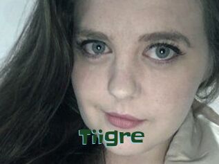 Tiigre_