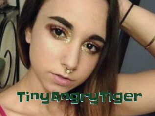 TinyAngryTiger