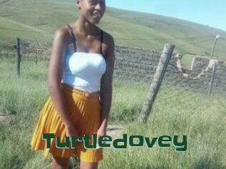 Turtledovey