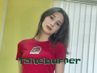 Taiteburner