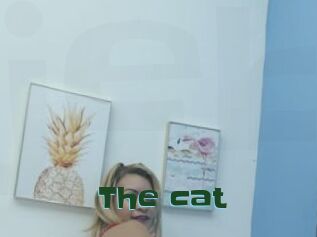 The_cat