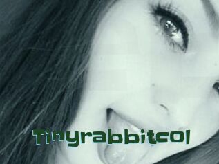 Tinyrabbitcol