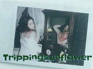 Trippingsunflower
