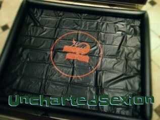 UnchartedSexion