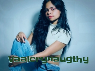 Vaalerynaugthy