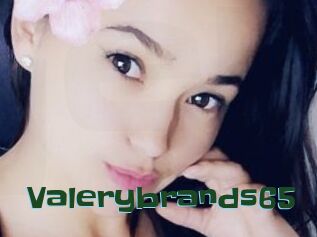 Valerybrands65