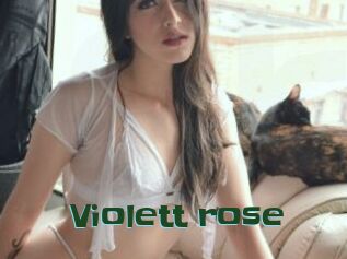 Violett_rose