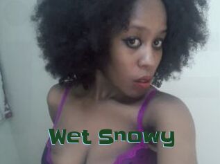 Wet_Snowy