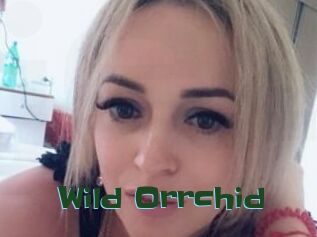 Wild_Orrchid