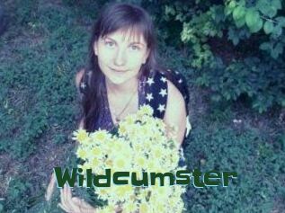 Wildcumster