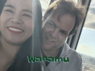 Wanamu