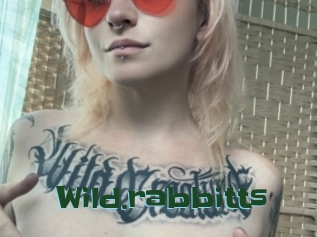 Wild.rabbitts