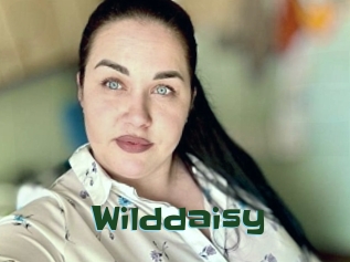 Wilddaisy