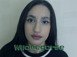 Wilonegorse
