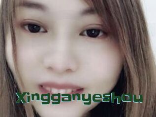 Xingganyeshou