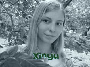 Xinyu