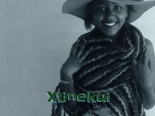 Xtinekui