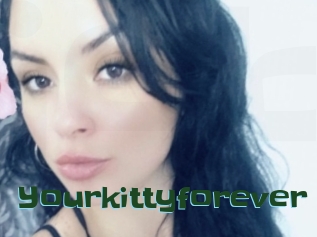 Yourkittyforever