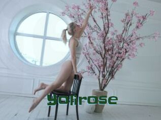 Yolirose