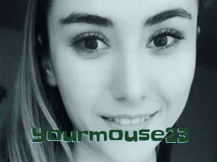 Yourmouse23