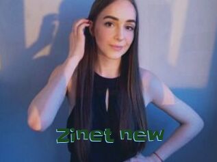 Zinet_new