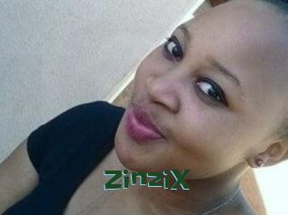 ZinziX