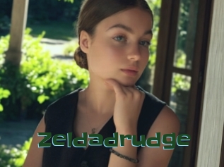 Zeldadrudge